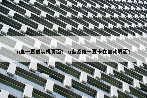 u盘一直进装机页面？ u盘系统一直卡在启动界面？