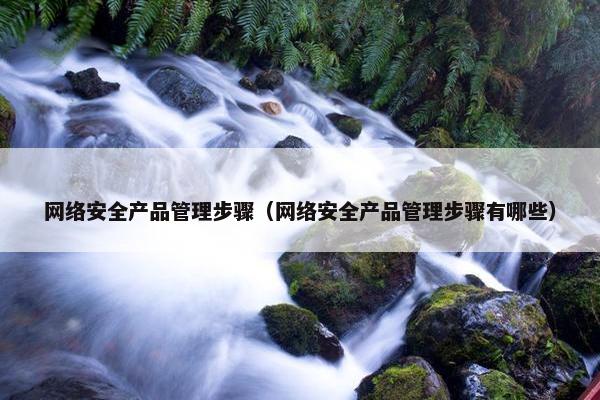 网络安全产品管理步骤（网络安全产品管理步骤有哪些）