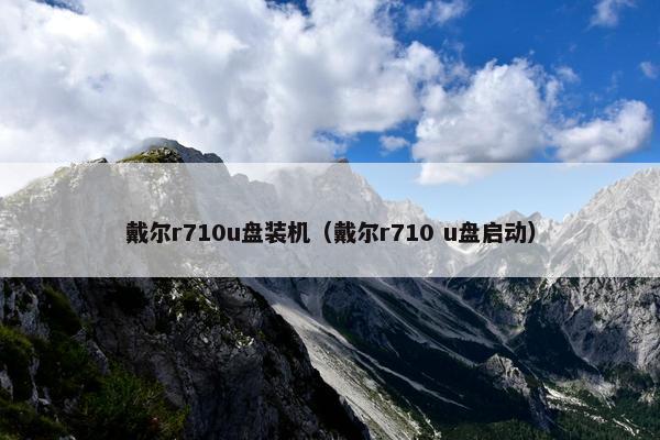 戴尔r710u盘装机（戴尔r710 u盘启动）