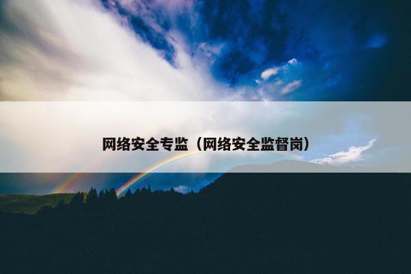 网络安全专监（网络安全监督岗）