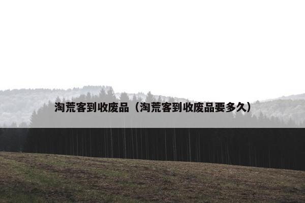 淘荒客到收废品（淘荒客到收废品要多久）