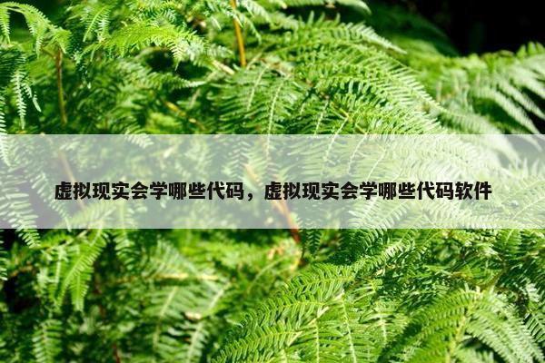 虚拟现实会学哪些代码，虚拟现实会学哪些代码软件