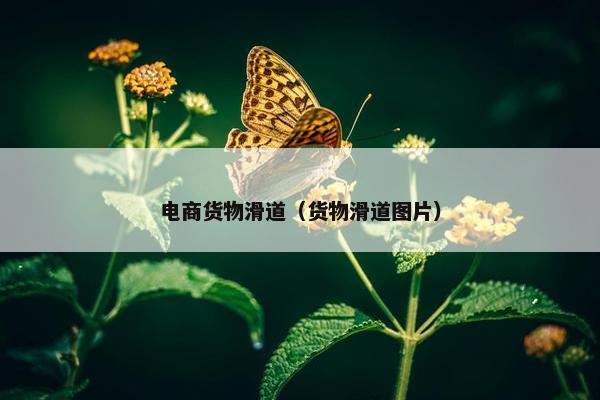 电商货物滑道（货物滑道图片）