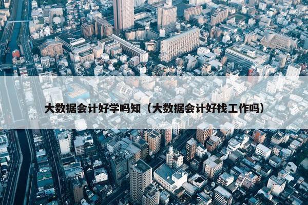 大数据会计好学吗知（大数据会计好找工作吗）