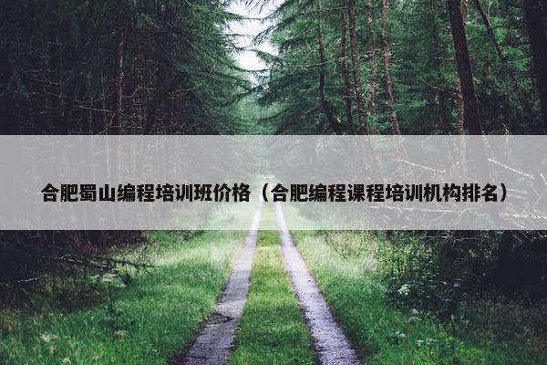 合肥蜀山编程培训班价格（合肥编程课程培训机构排名）