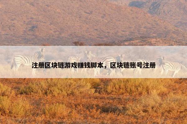 注册区块链游戏赚钱脚本，区块链账号注册