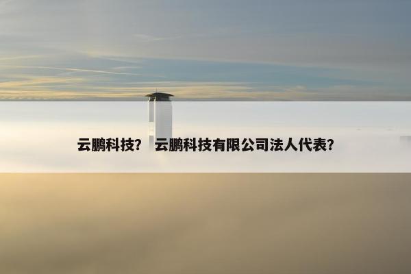 云鹏科技？ 云鹏科技有限公司法人代表？