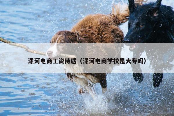 漯河电商工资待遇（漯河电商学校是大专吗）