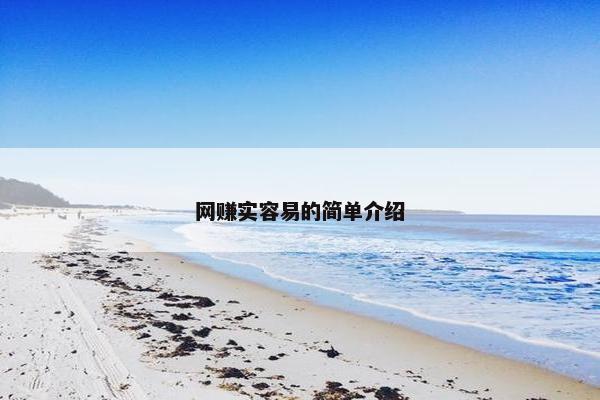 网赚实容易的简单介绍