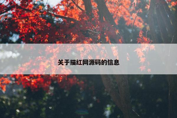 关于描红网源码的信息