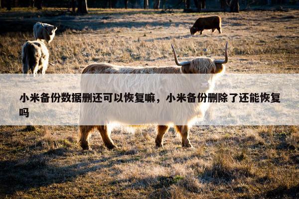 小米备份数据删还可以恢复嘛，小米备份删除了还能恢复吗