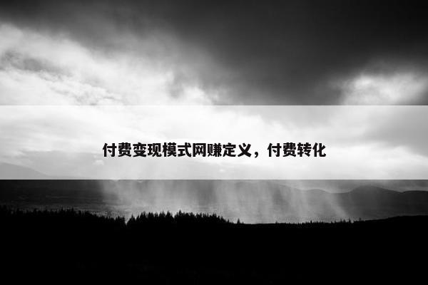 付费变现模式网赚定义，付费转化
