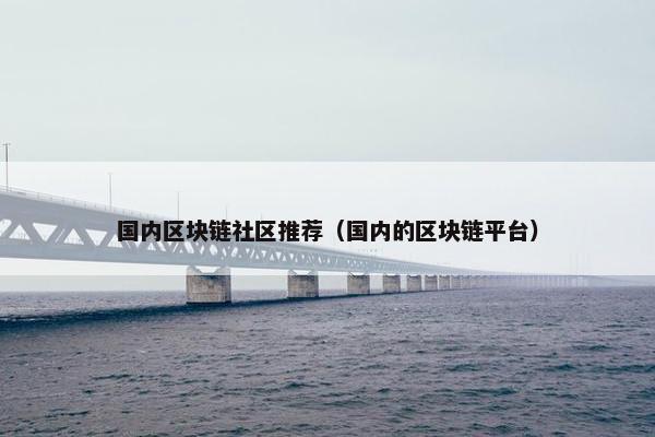 国内区块链社区推荐（国内的区块链平台）