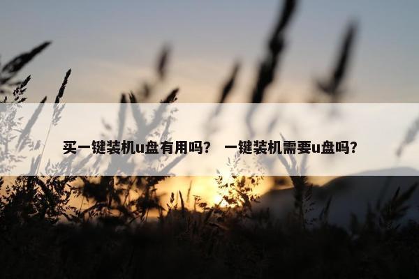 买一键装机u盘有用吗？ 一键装机需要u盘吗？