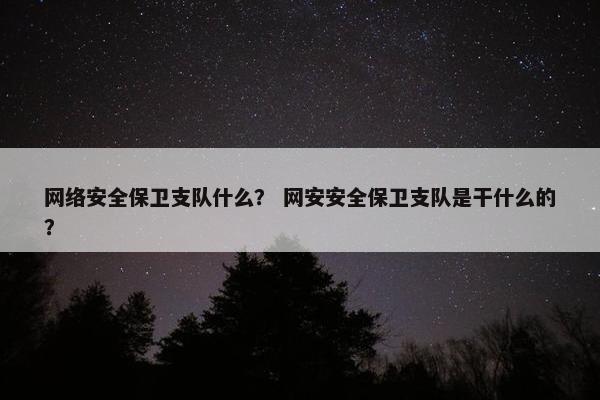 网络安全保卫支队什么？ 网安安全保卫支队是干什么的？