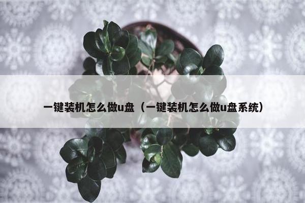 一键装机怎么做u盘（一键装机怎么做u盘系统）