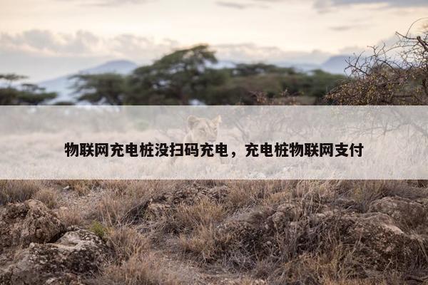物联网充电桩没扫码充电，充电桩物联网支付