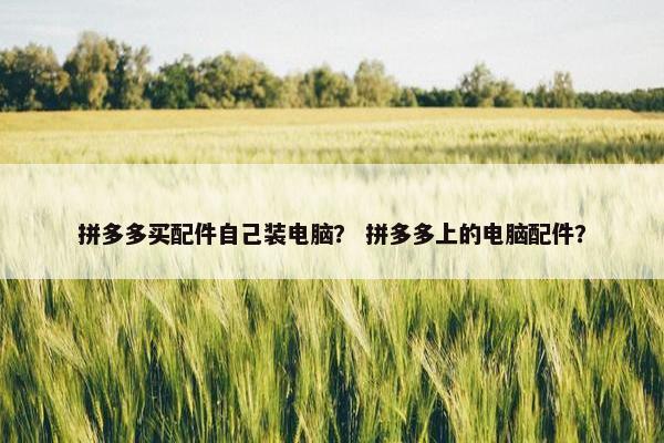 拼多多买配件自己装电脑？ 拼多多上的电脑配件？