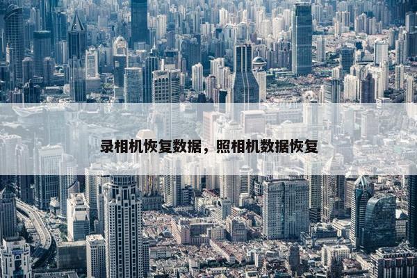 录相机恢复数据，照相机数据恢复