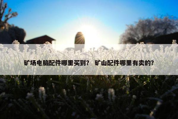 矿场电脑配件哪里买到？ 矿山配件哪里有卖的？