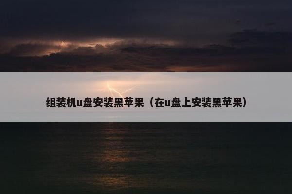 组装机u盘安装黑苹果（在u盘上安装黑苹果）
