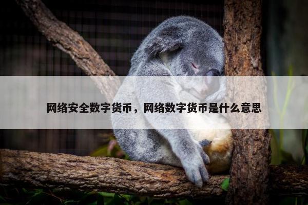 网络安全数字货币，网络数字货币是什么意思