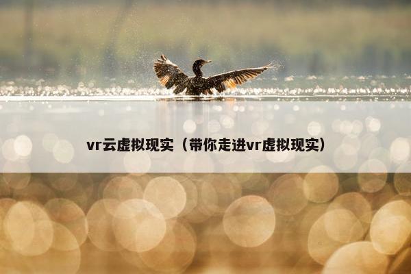 vr云虚拟现实（带你走进vr虚拟现实）