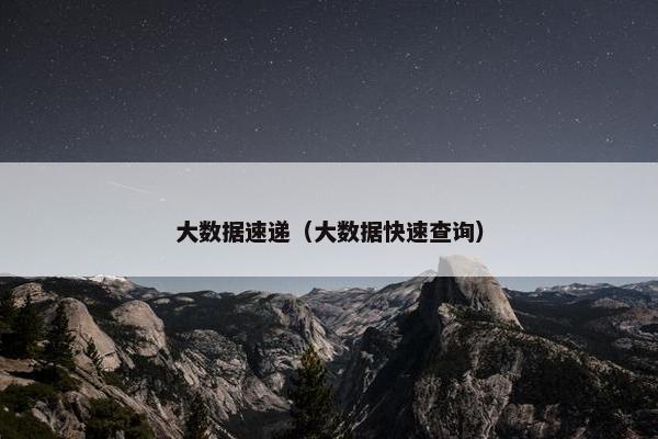 大数据速递（大数据快速查询）