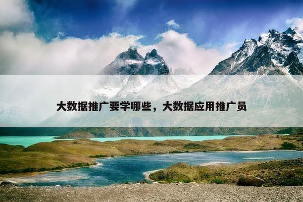 大数据推广要学哪些，大数据应用推广员