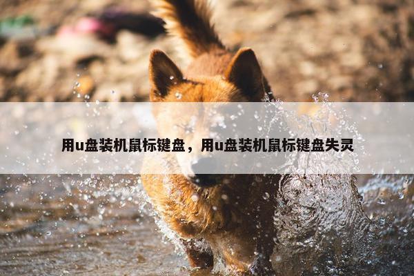 用u盘装机鼠标键盘，用u盘装机鼠标键盘失灵