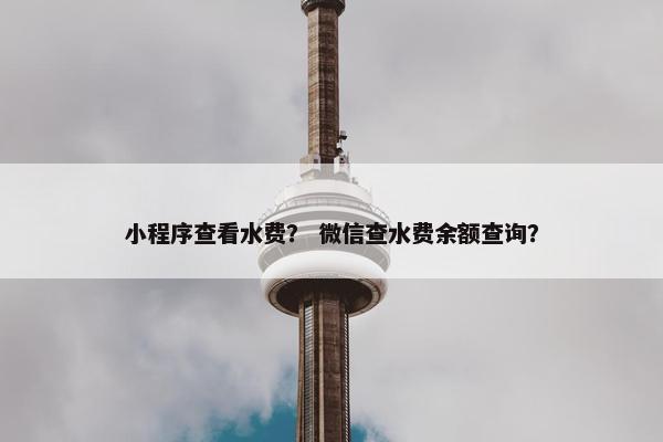 小程序查看水费？ 微信查水费余额查询？