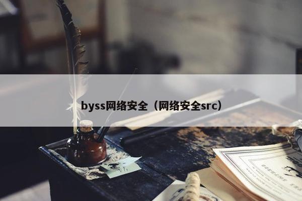 byss网络安全（网络安全src）