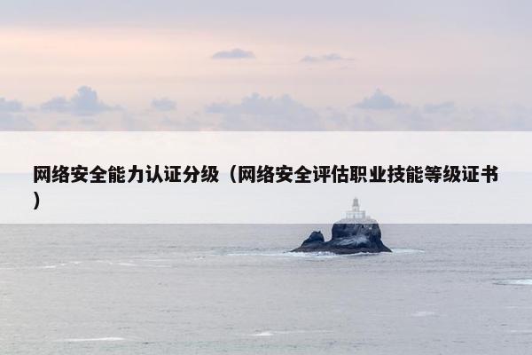 网络安全能力认证分级（网络安全评估职业技能等级证书）