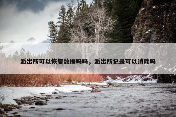 派出所可以恢复数据吗吗，派出所记录可以消除吗