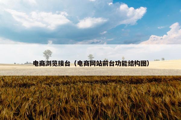 电商浏览接台（电商网站前台功能结构图）
