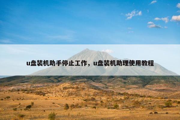 u盘装机助手停止工作，u盘装机助理使用教程
