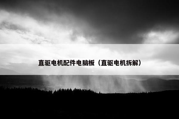 直驱电机配件电脑板（直驱电机拆解）