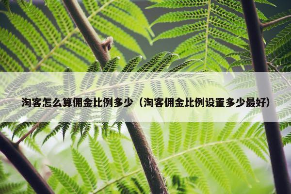 淘客怎么算佣金比例多少（淘客佣金比例设置多少最好）