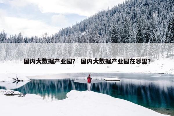 国内大数据产业园？ 国内大数据产业园在哪里？