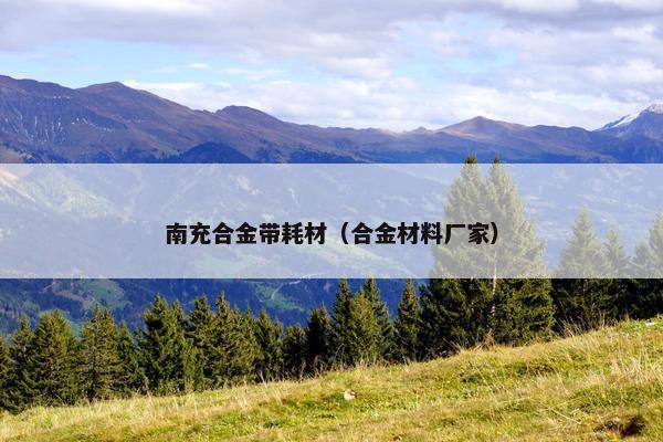 南充合金带耗材（合金材料厂家）