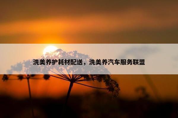 洗美养护耗材配送，洗美养汽车服务联盟