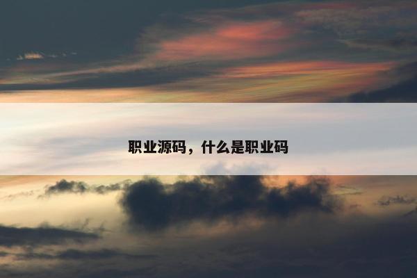 职业源码，什么是职业码