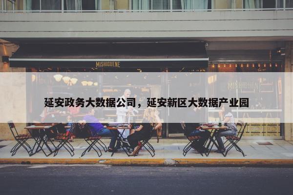 延安政务大数据公司，延安新区大数据产业园