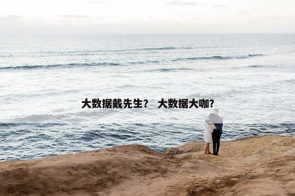 大数据戴先生？ 大数据大咖？