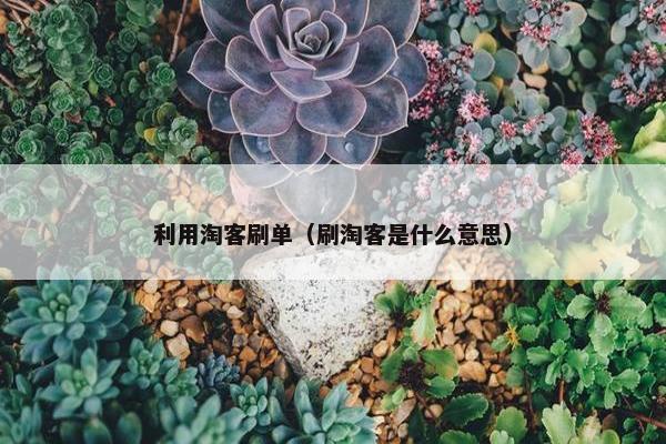 利用淘客刷单（刷淘客是什么意思）