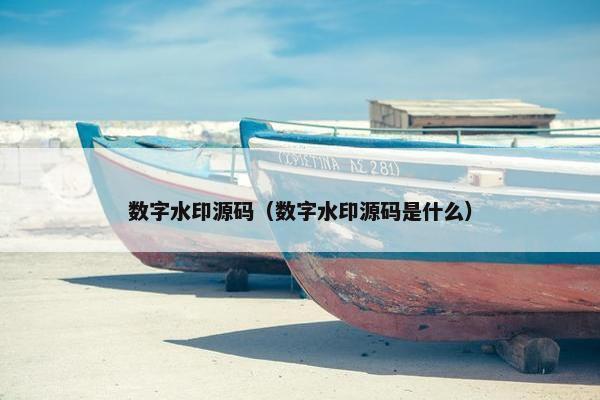 数字水印源码（数字水印源码是什么）
