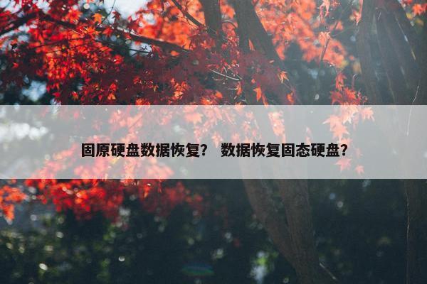 固原硬盘数据恢复？ 数据恢复固态硬盘？
