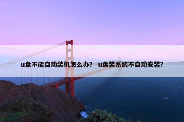 u盘不能自动装机怎么办？ u盘装系统不自动安装？
