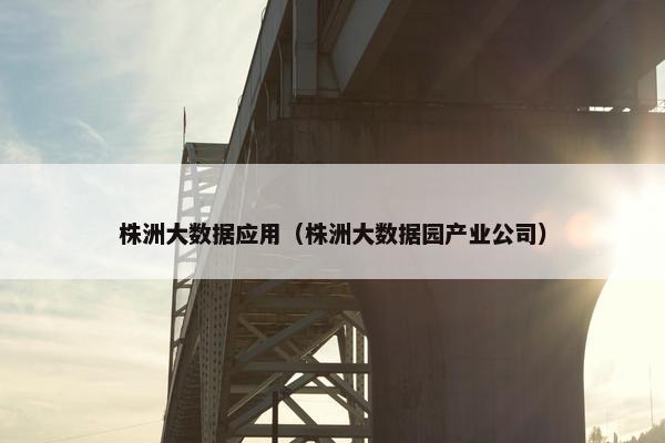 株洲大数据应用（株洲大数据园产业公司）
