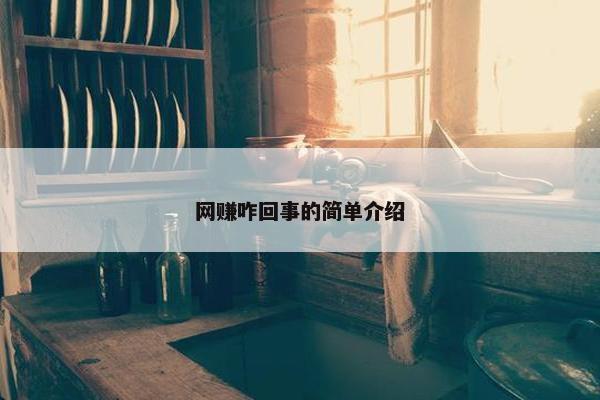 网赚咋回事的简单介绍